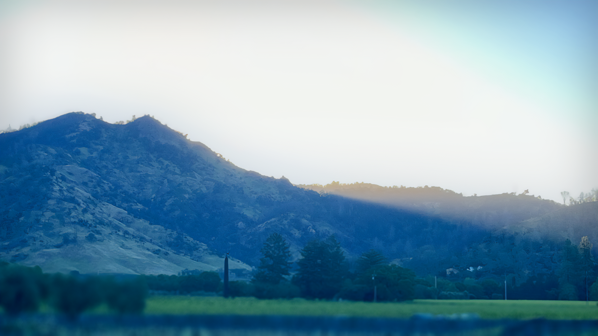 Why Curiosity is a Core Growth Principle