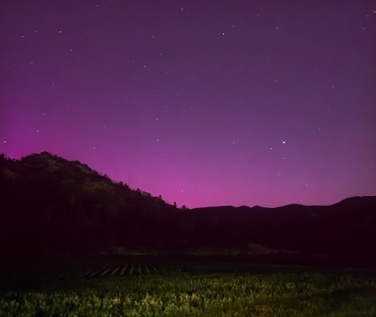 Transparency and Trust